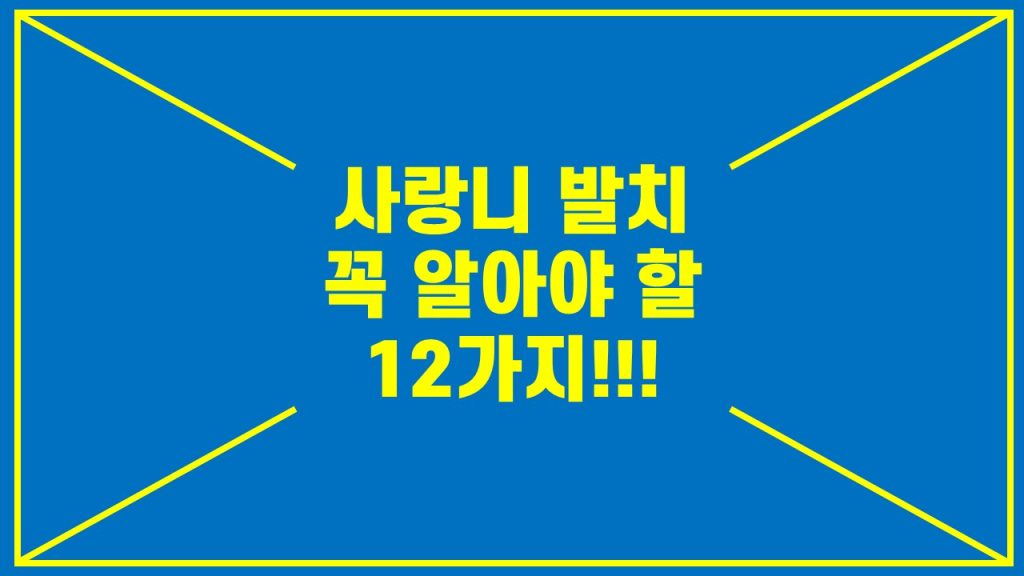 사랑니 발치 전 알아야 할 정보