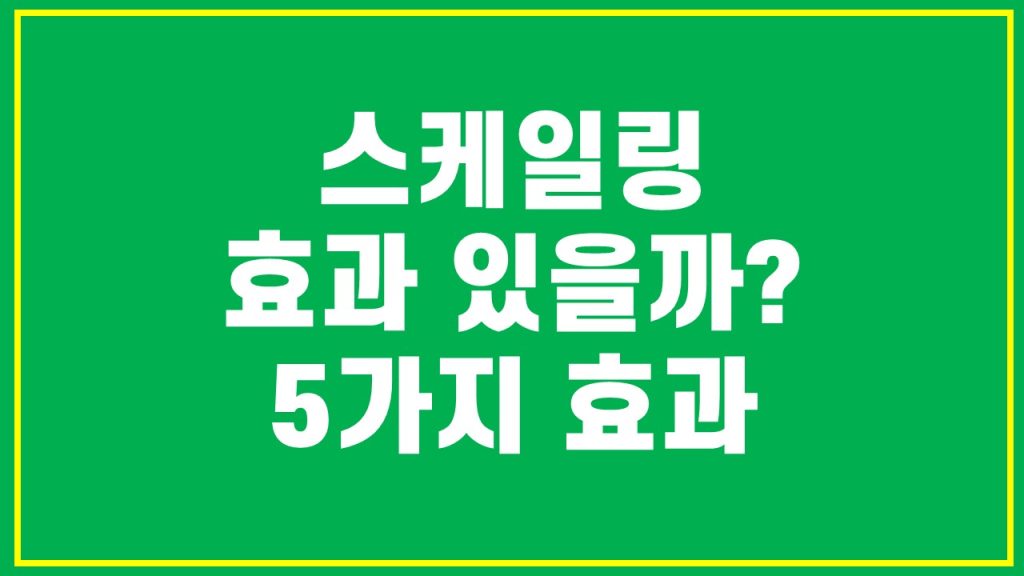 스케일링 효과